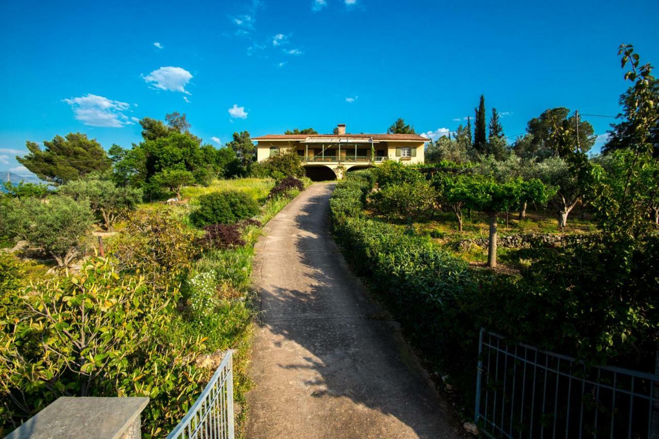 Aphrodite'S Coast Retreat House! Galaxídhion Eksteriør billede