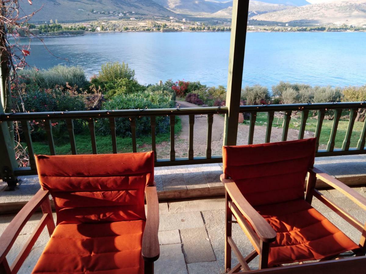 Aphrodite'S Coast Retreat House! Galaxídhion Eksteriør billede